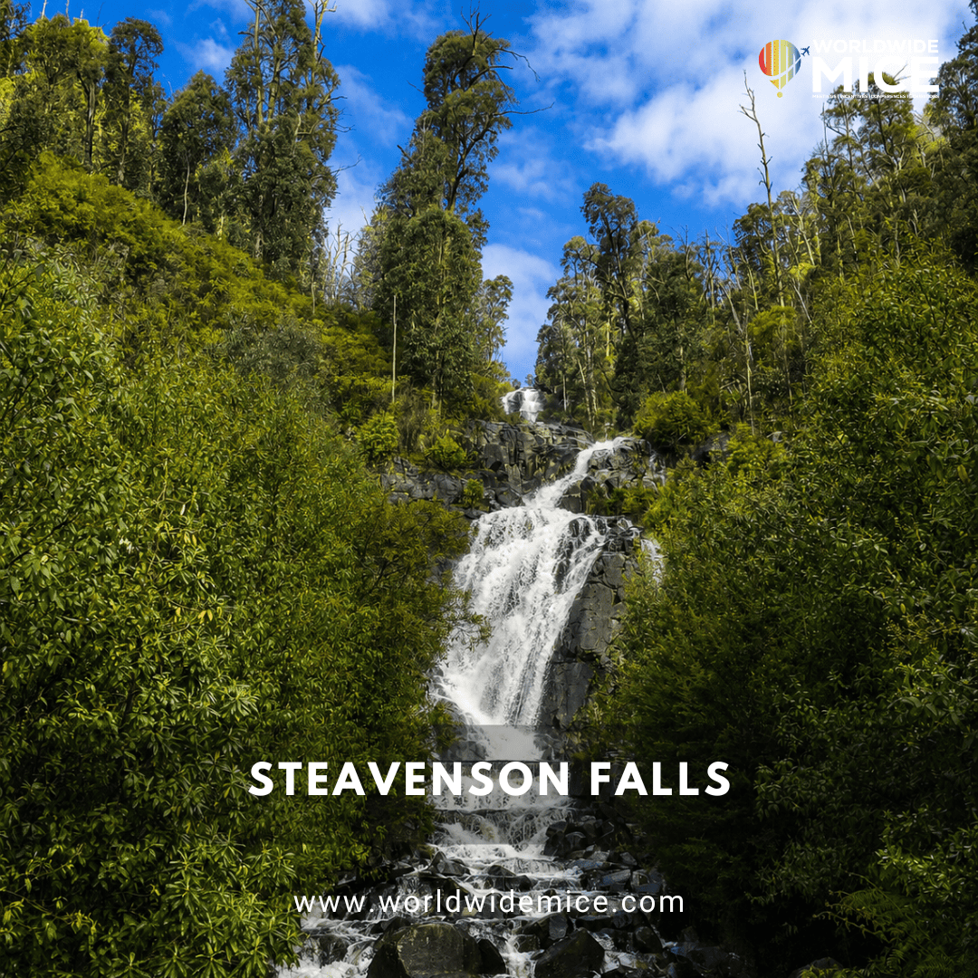 Steavenson Falls